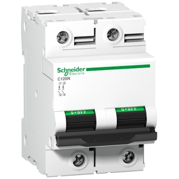 Ảnh của MCB Schneider A9N18363 2P 125A 10kA