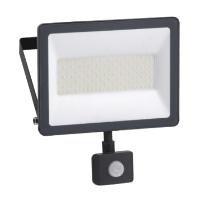 Ảnh của Đèn pha LED Schneider IMT47221 50W - có cảm biến